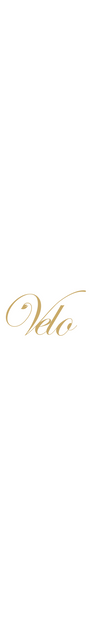 VELO SCARF logo